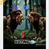 amhusnain008