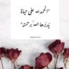 user5098812583579