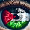 user77061977650360