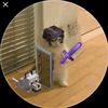 alexand3r_cbr