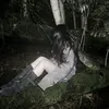 ri_veii