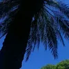 ol_3333