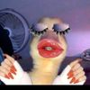 nectarbabe1