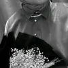 alaa._5554
