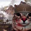 ramboson46