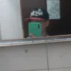 jacoo240