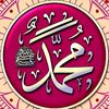 user81619952378807