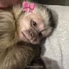 iamtrinnietoo
