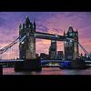 shehrozsaleem36