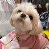 snowy.girl96