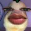 marcos_divo3