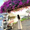 do.thuy.dung0