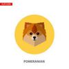 pomeranian.world.58
