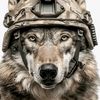 lobo69114