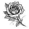 user630705219