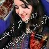 user68550040592070