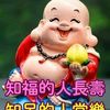 user86088080086