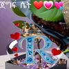 obsinaannidarba18