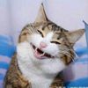 thaingasu_54