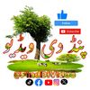 پنڈ دی ویڈیو