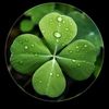 nyenye997