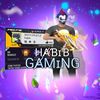 habib_gaming02