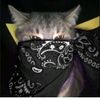 alwasyeva_81
