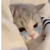 kaisi_999