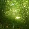 edenkristuanus0