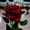 nabila.awad12