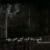 usernoor7860