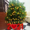 thanh.thu.nguyn4800