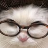 littlesstar_008