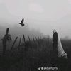 shakhawat235_