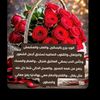 user51127399461097