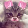 blancc_1