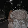 salma.ahmed0477