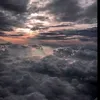 o5_9z9