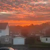 emily_theoriginal