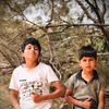 abdalhrary1