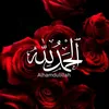 user540687709357