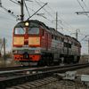 spotter_from_kamensk