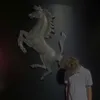 pm_tln