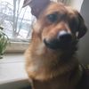 lukas.simaska