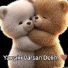 vfa.abdulezizova