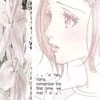 ilusaodamari