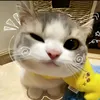 thu.thuy101011