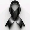 user4661578541061