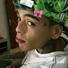 gi.barretox