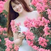 hng90479